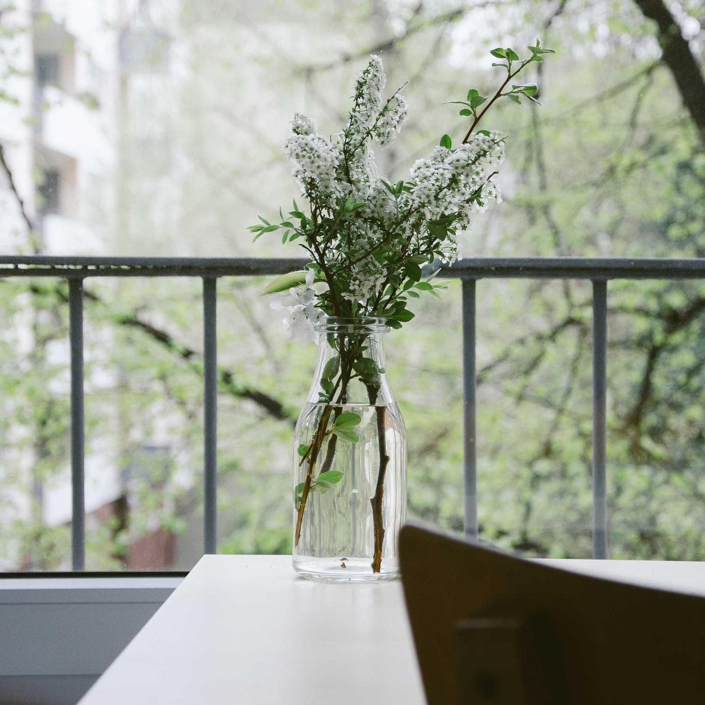 A calm table by a window with a vase of fresh branches